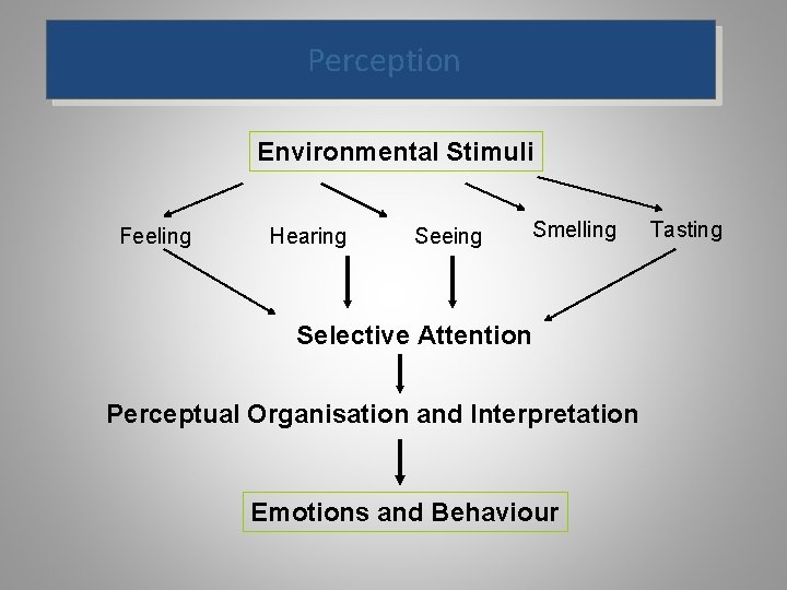 Perception Environmental Stimuli Feeling Hearing Seeing Smelling Selective Attention Perceptual Organisation and Interpretation Emotions