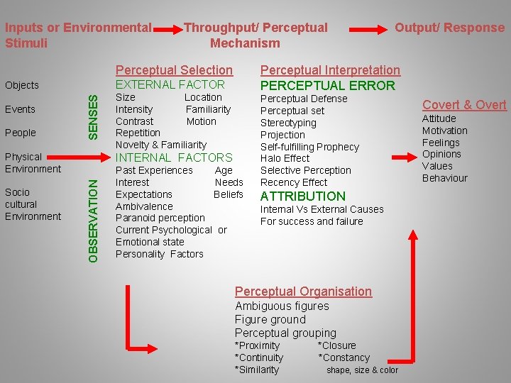 Inputs or Environmental Stimuli Throughput/ Perceptual Mechanism Perceptual Interpretation PERCEPTUAL ERROR Perceptual Selection EXTERNAL