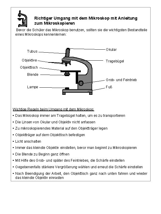 Richtiger Umgang mit dem Mikroskop mit Anleitung zum Mikroskopieren Bevor die Schüler das Mikroskop