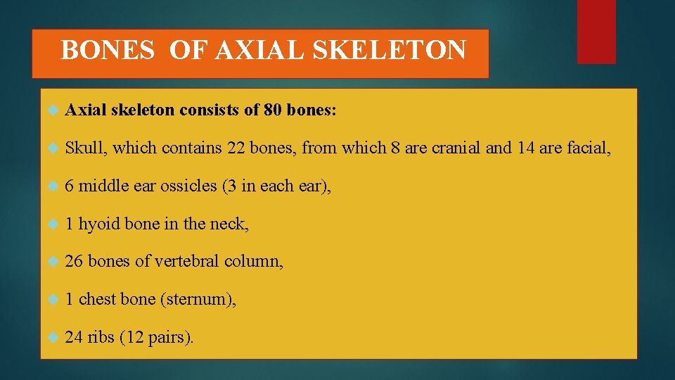 BONES OF AXIAL SKELETON Axial skeleton consists of 80 bones: Skull, which contains 22
