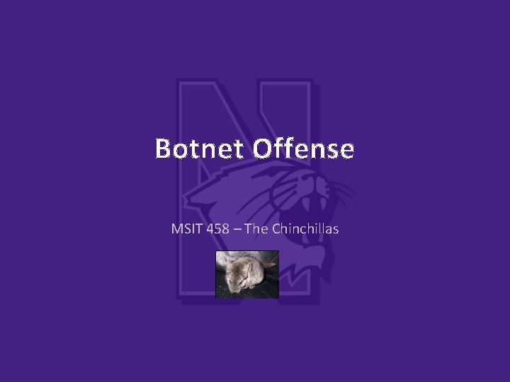 Botnet Offense MSIT 458 – The Chinchillas 