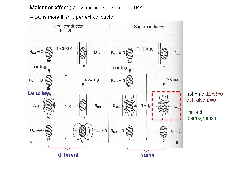 Meissner effect (Meissner and Ochsenfeld, 1933) A SC is more than a perfect conductor