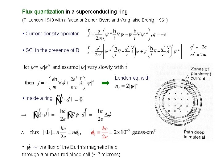 Flux quantization in a superconducting ring (F. London 1948 with a factor of 2