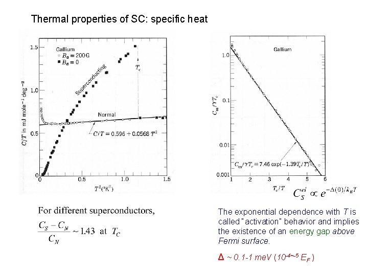 Thermal properties of SC: specific heat The exponential dependence with T is called “activation”