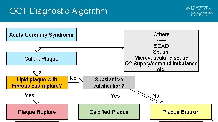 OCT Diagnostic Algorithm Others ----SCAD Spasm Microvascular disease O 2 Supply/demand imbalance etc. Acute OCT Diagnostic Algorithm Others ----SCAD Spasm Microvascular disease O 2 Supply/demand imbalance etc. Acute