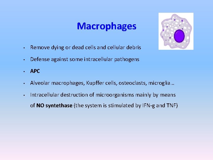 Macrophages • Remove dying or dead cells and cellular debris • Defense against some