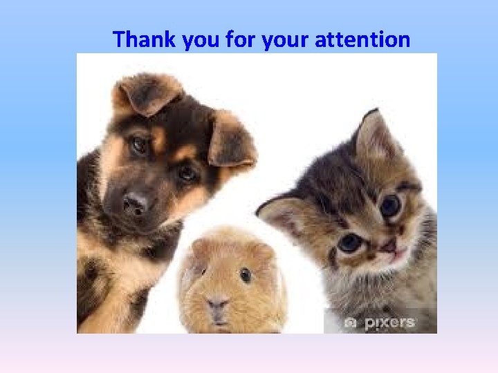 Thank you for your attention 