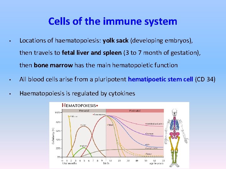 Cells of the immune system • Locations of haematopoiesis: yolk sack (developing embryos), then