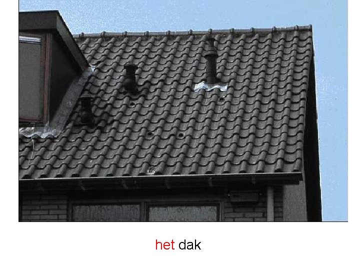 het dak 