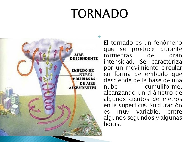 TORNADO El tornado es un fenómeno que se produce durante tormentas de gran intensidad.
