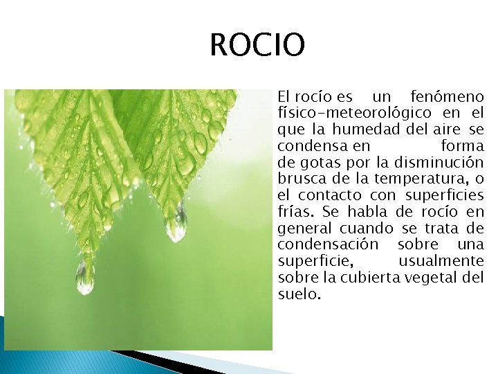 ROCIO El rocío es un fenómeno físico-meteorológico en el que la humedad del aire