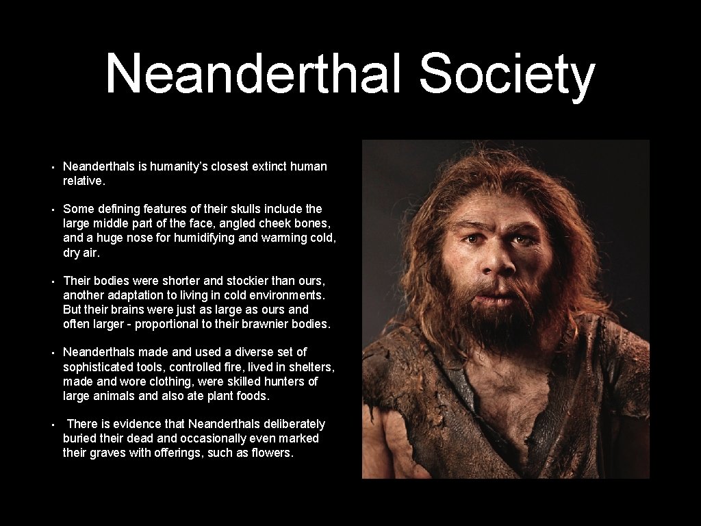 Neanderthal Society • Neanderthals is humanity’s closest extinct human relative. • Some defining features