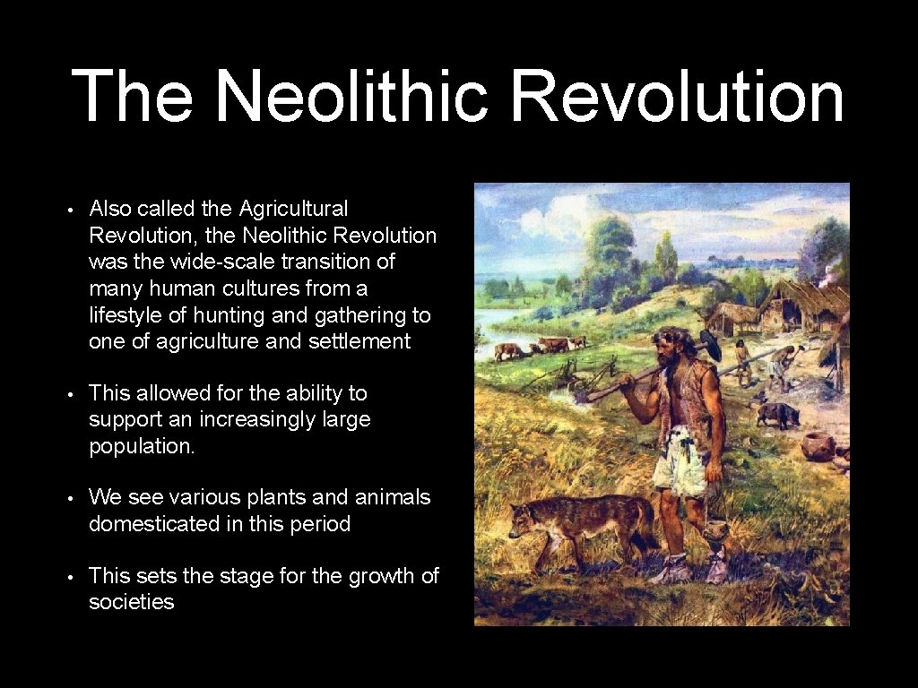 The Neolithic Revolution • Also called the Agricultural Revolution, the Neolithic Revolution was the