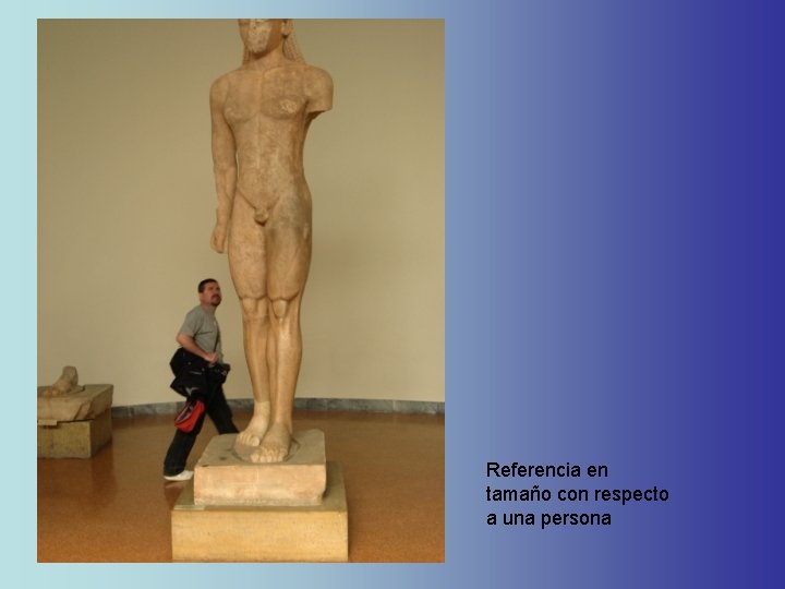 Referencia en tamaño con respecto a una persona Referencia en tamaño con respecto a una persona