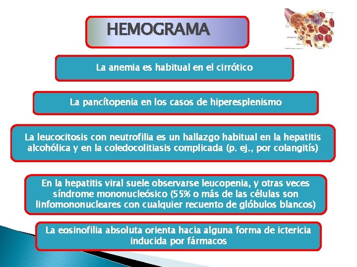 HEMOGRAMA La anemia es habitual en el cirrótico La pancítopenia en los casos de HEMOGRAMA La anemia es habitual en el cirrótico La pancítopenia en los casos de