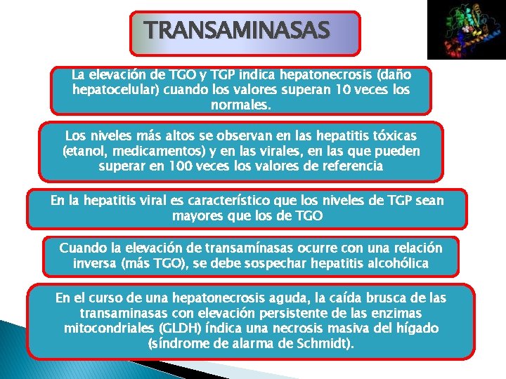 TRANSAMINASAS La elevación de TGO y TGP indica hepatonecrosis (daño hepatocelular) cuando los valores TRANSAMINASAS La elevación de TGO y TGP indica hepatonecrosis (daño hepatocelular) cuando los valores