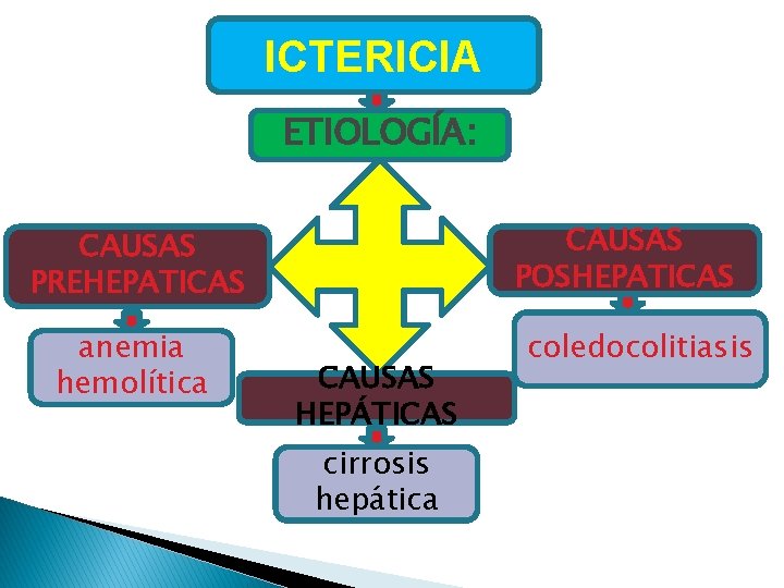 ICTERICIA ETIOLOGÍA: CAUSAS POSHEPATICAS CAUSAS PREHEPATICAS anemia hemolítica CAUSAS HEPÁTICAS cirrosis hepática coledocolitiasis ICTERICIA ETIOLOGÍA: CAUSAS POSHEPATICAS CAUSAS PREHEPATICAS anemia hemolítica CAUSAS HEPÁTICAS cirrosis hepática coledocolitiasis