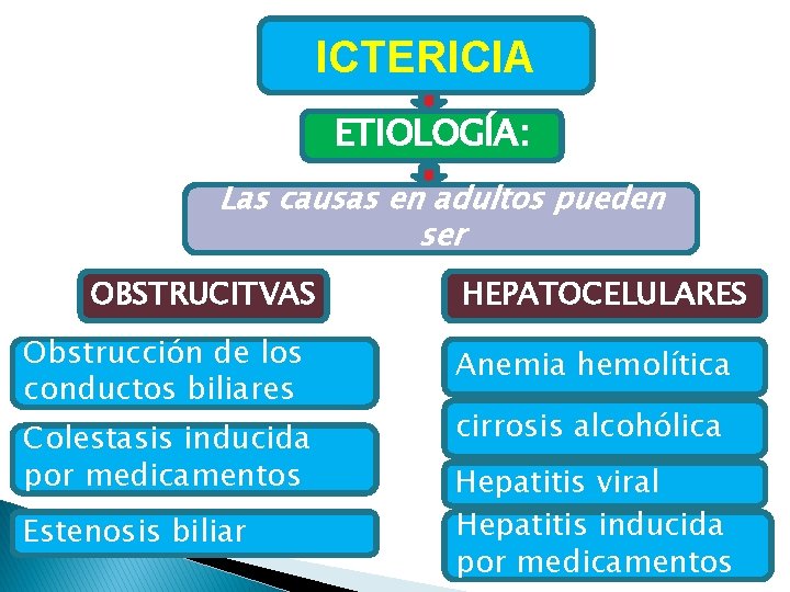 ICTERICIA ETIOLOGÍA: Las causas en adultos pueden ser OBSTRUCITVAS Obstrucción de los conductos biliares ICTERICIA ETIOLOGÍA: Las causas en adultos pueden ser OBSTRUCITVAS Obstrucción de los conductos biliares