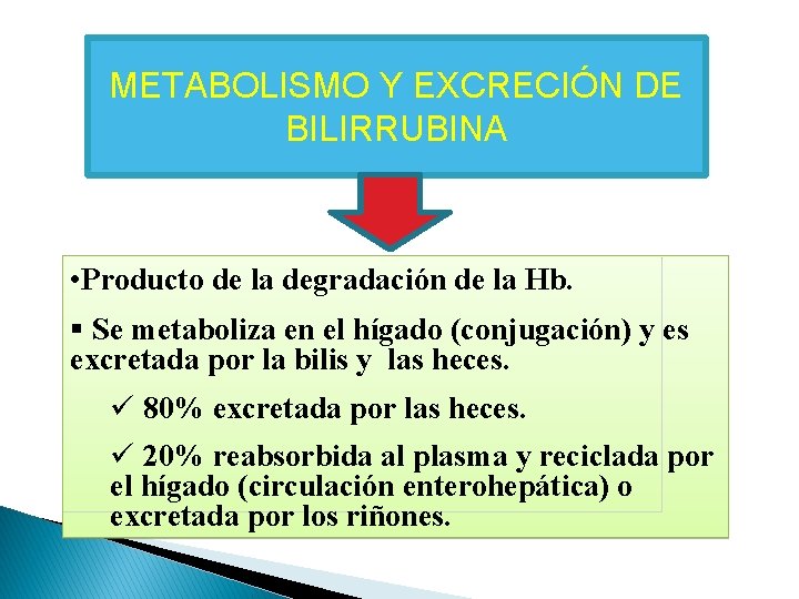 METABOLISMO Y EXCRECIÓN DE BILIRRUBINA • Producto de la degradación de la Hb. § METABOLISMO Y EXCRECIÓN DE BILIRRUBINA • Producto de la degradación de la Hb. §