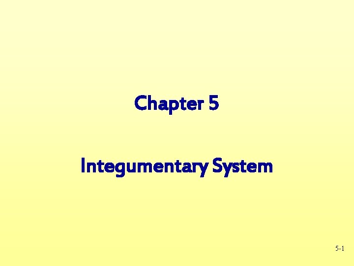 Chapter 5 Integumentary System 5 -1 