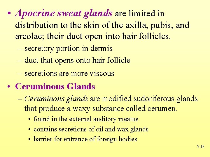  • Apocrine sweat glands are limited in distribution to the skin of the