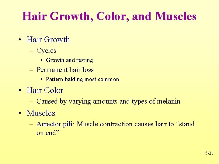 Hair Growth, Color, and Muscles • Hair Growth – Cycles • Growth and resting