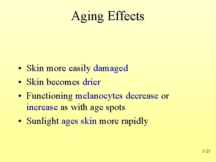 Aging Effects • Skin more easily damaged • Skin becomes drier • Functioning melanocytes