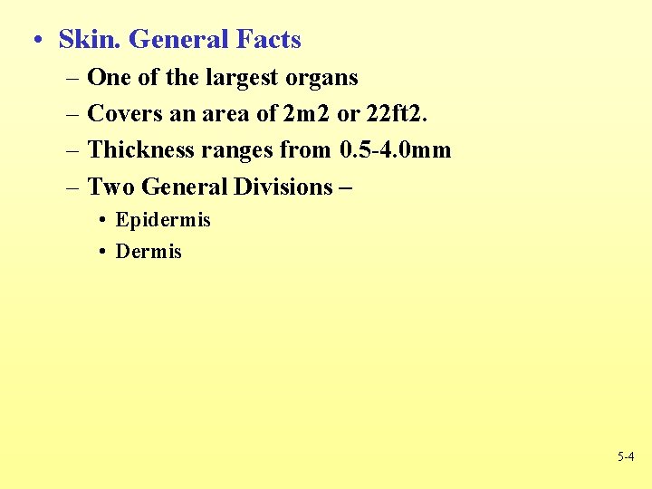  • Skin. General Facts – One of the largest organs – Covers an