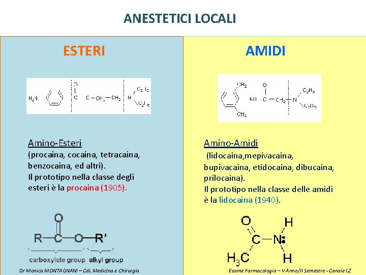 ANESTETICI LOCALI ESTERI Amino-Esteri (procaina, cocaina, tetracaina, benzocaina, ed altri). Il prototipo nella classe