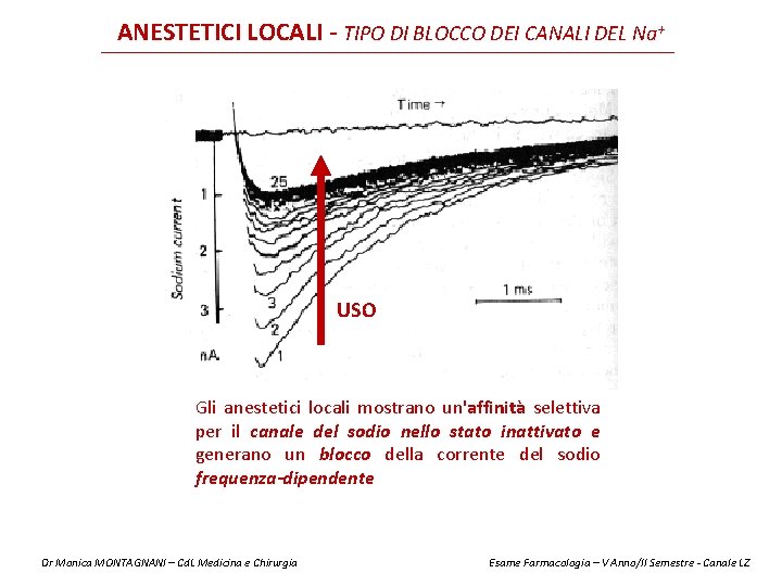 ANESTETICI LOCALI - TIPO DI BLOCCO DEI CANALI DEL Na+ USO Gli anestetici locali