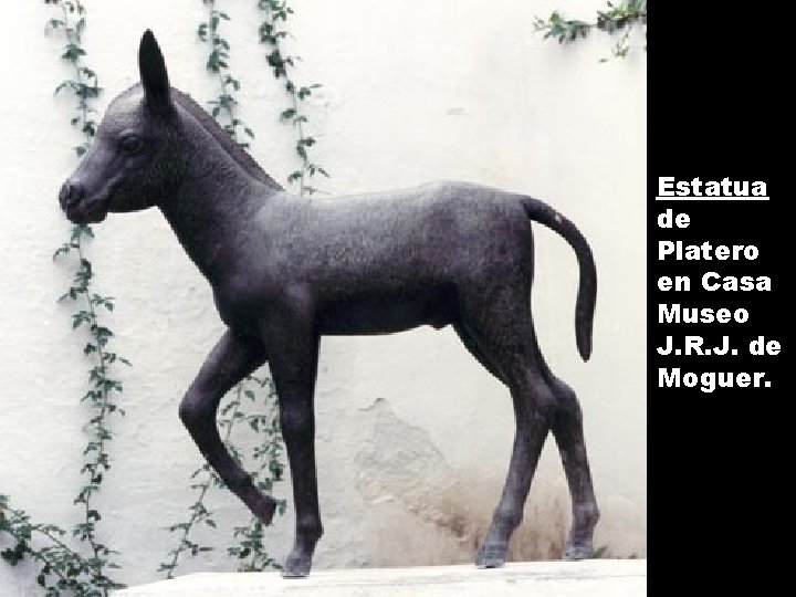 Estatua de Platero en Casa Museo J. R. J. de Moguer. 