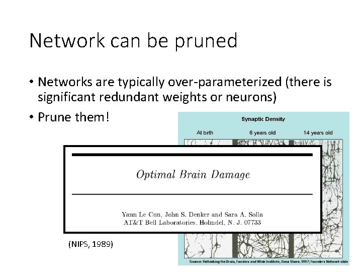 Network can be pruned • Networks are typically over-parameterized (there is significant redundant weights