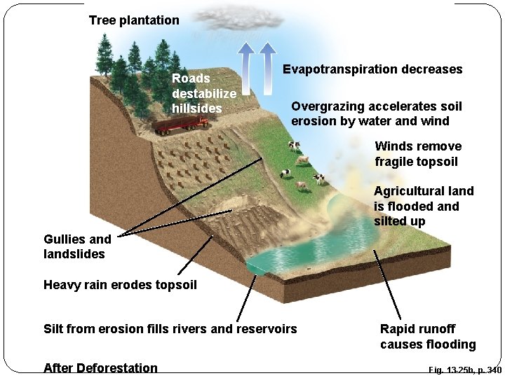 Tree plantation Roads destabilize hillsides Evapotranspiration decreases Overgrazing accelerates soil erosion by water and