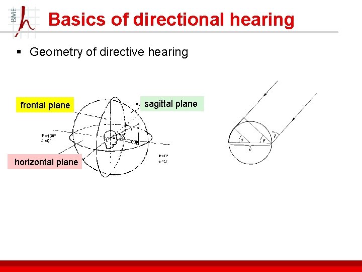 Basics of directional hearing § Geometry of directive hearing frontal plane horizontal plane sagittal