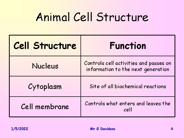 Animal Cell Structure Function Nucleus Controls cell activities and passes on information to the