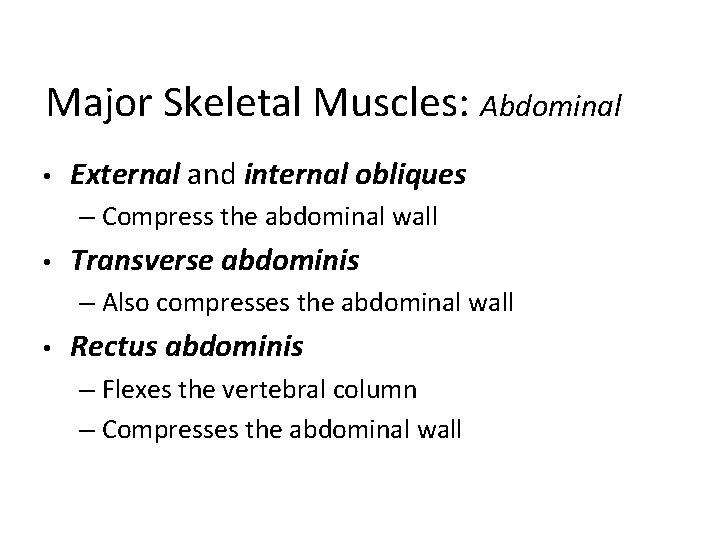 Major Skeletal Muscles: Abdominal • External and internal obliques – Compress the abdominal wall