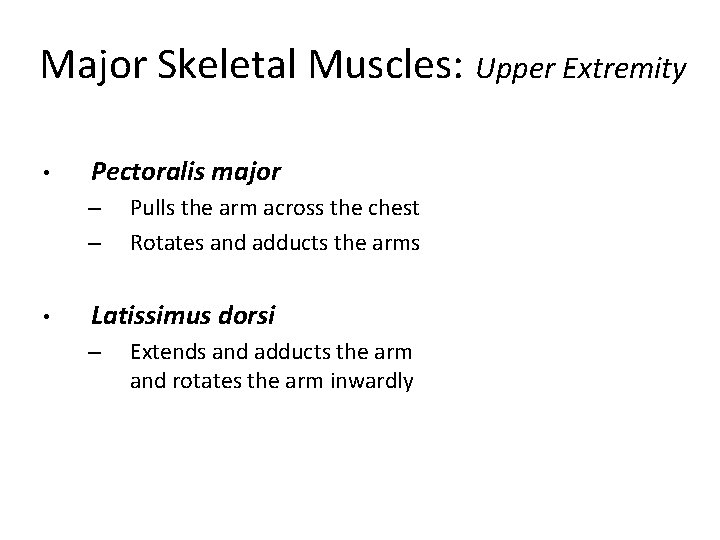Major Skeletal Muscles: Upper Extremity • Pectoralis major – – • Pulls the arm