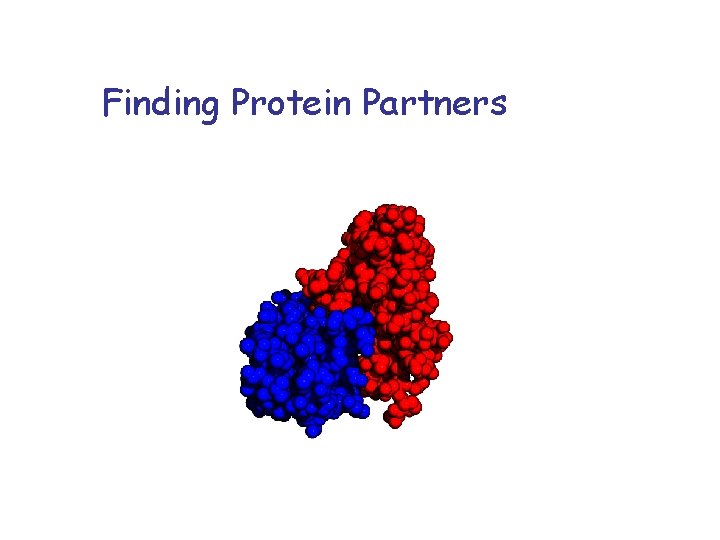 Finding Protein Partners 