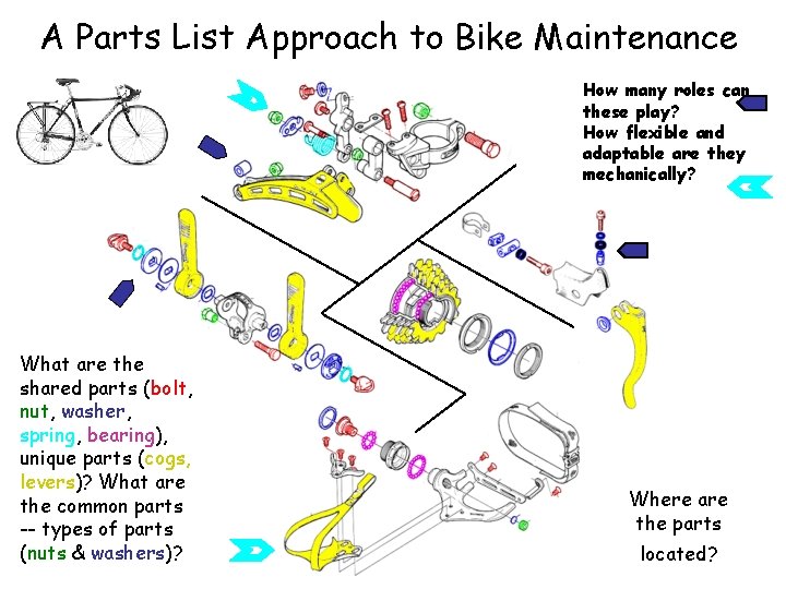 A Parts List Approach to Bike Maintenance How many roles can these play? How