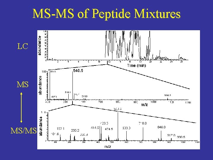 MS-MS of Peptide Mixtures LC MS MS/MS 