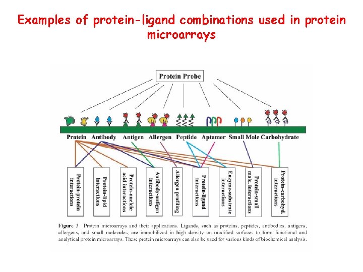 Examples of protein-ligand combinations used in protein microarrays 