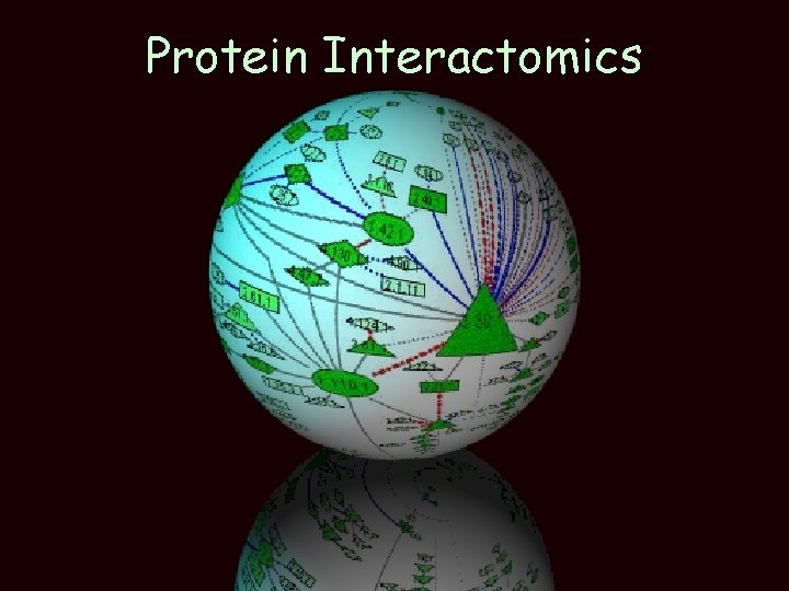 Protein Interactomics 