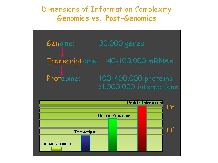 Dimensions of Information Complexity Genomics vs. Post-Genomics Genome: 30. 000 genes Transcriptome: Proteome: 40