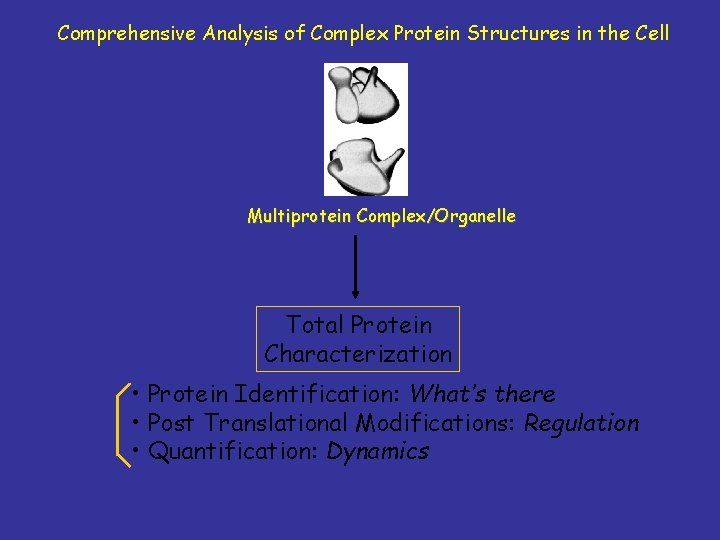 Comprehensive Analysis of Complex Protein Structures in the Cell Multiprotein Complex/Organelle Total Protein Characterization