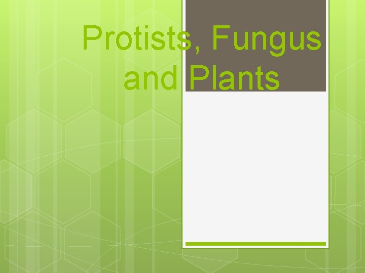 Protists, Fungus and Plants 