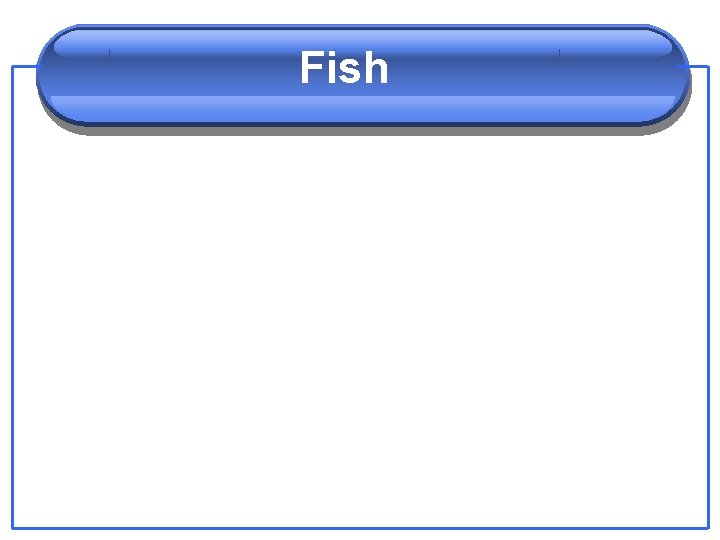 Fish 