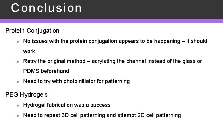 Conclusion Polyacrylamide for Cell Culturing Protein Conjugation u No issues with the protein conjugation