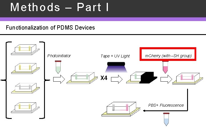 Methods – Part I Functionalization of PDMS Devices Photoinitiator Tape + UV Light m.