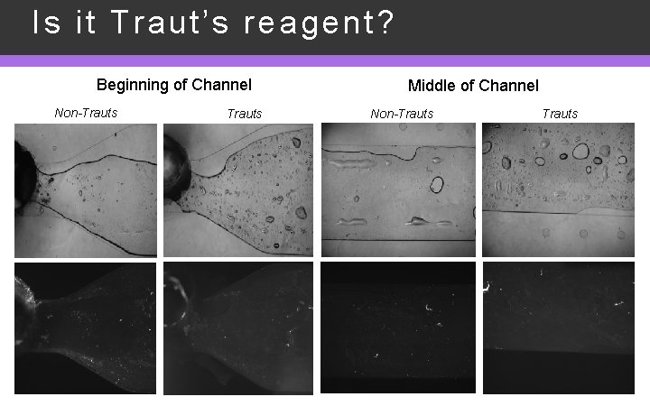 Is it Traut’s reagent? Beginning of Channel Non-Trauts Middle of Channel Non-Trauts 