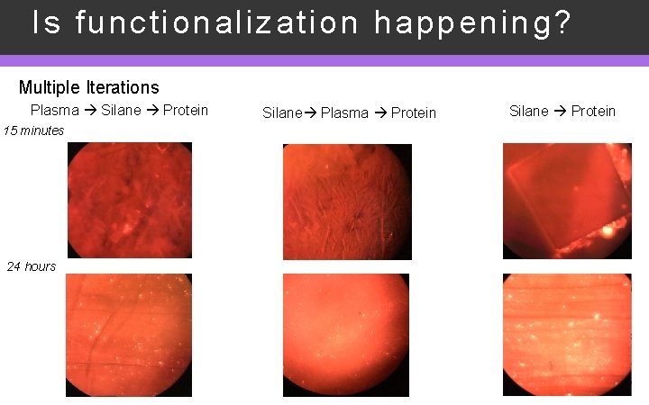 Is functionalization happening? Multiple Iterations Plasma Silane Protein 15 minutes 24 hours Silane Plasma